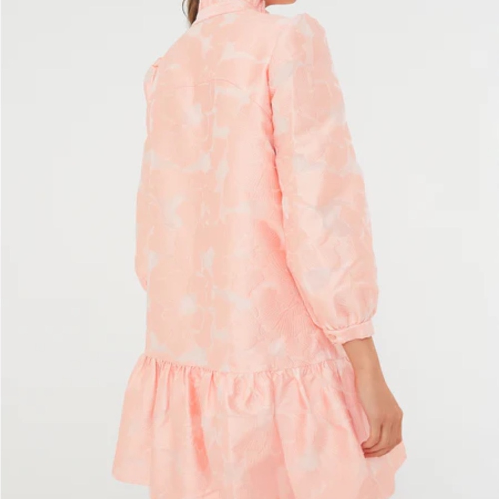 Tuckernuck Pink Ruffle Dress - Picture 5 of 6